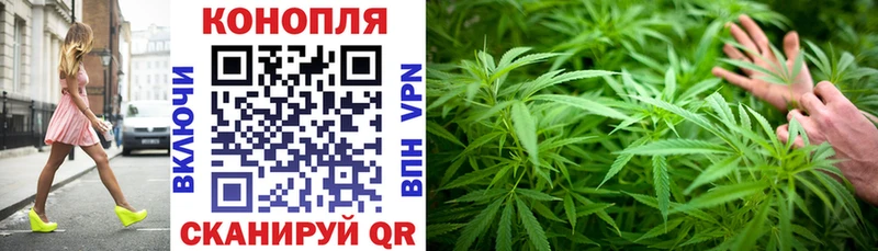 Конопля индика Купить Кашин